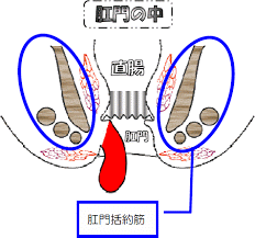 bJVvOhSVnM2cNiJC6yJB5ZKvPY_hbxFrp2g1yIDLgqtTIul_j6ONBmJoyVBROpC3EOZrNJXIbnAovwZ3WP5BFb5USbyVaeQxVzulp8CcTcEFx-0DoyVxIUGKvJlcADTj27apVmCGmrv87jm6Q8uoPvZ_kR5rkmCayDu22a_H%3Ds0-d-e1-ft.png